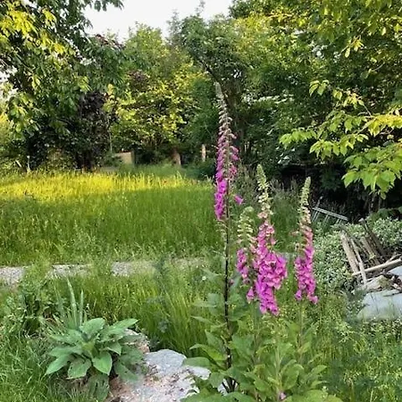 Himmelreich Villa Fulda