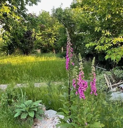 Himmelreich Villa Fulda